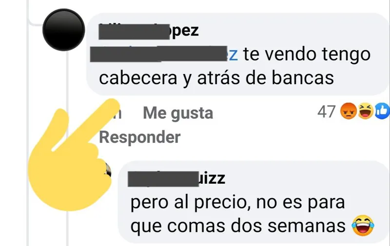 Imagen del artículo