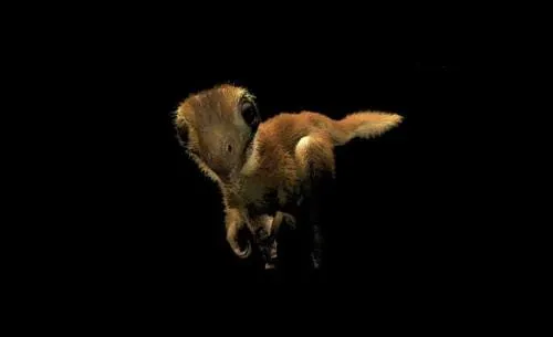 Nueva reconstrucción de un bebé de tiranosaurio rex recuerda más a un ave que a un reptil