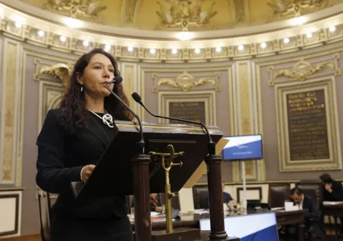 Proyecta Finanzas recaudación de 3 mil mdp por nuevos impuestos; serán destinados a seguridad