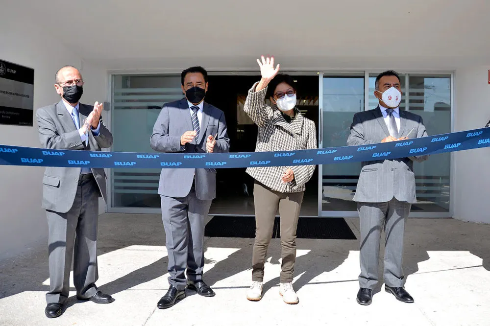 Buap Universidad Para Adultos