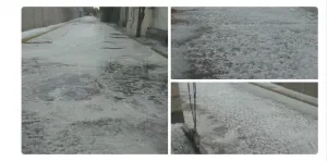 Granizada ocasiona daños en campos de cultivo de Palmar