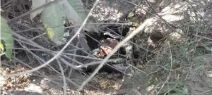 Hallan el cuerpo de un hombre en un barranco de Tochtepec