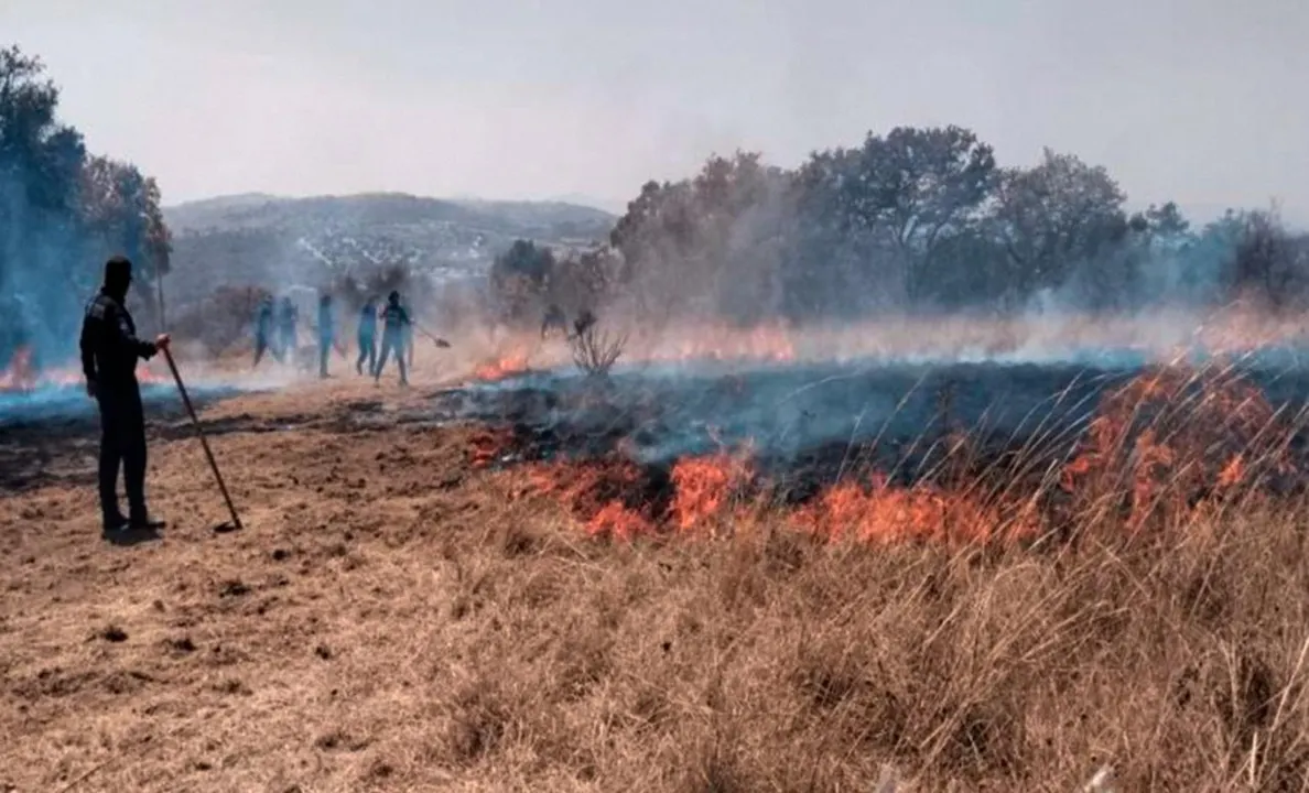 Incendios forestales