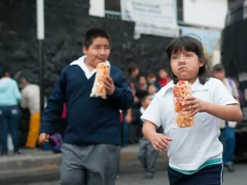 Busca Morena prohibir papitas, “chescos” en escuelas