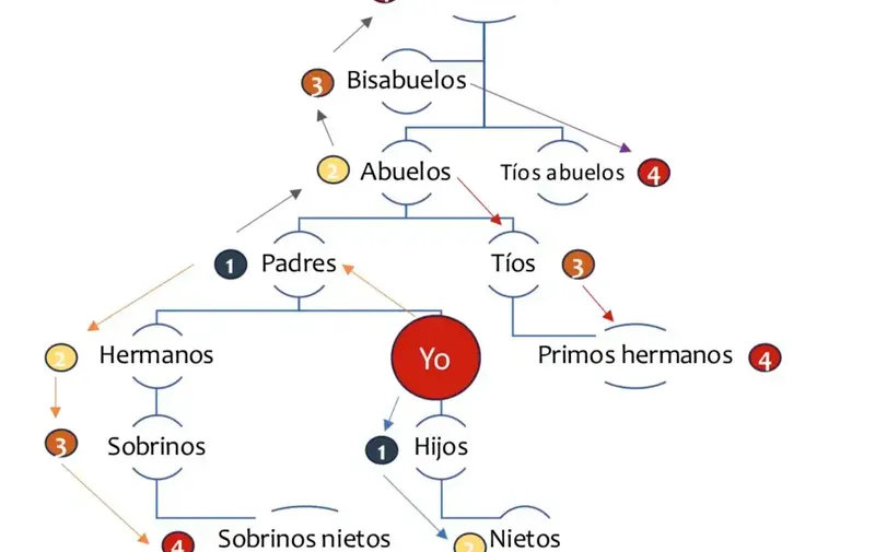 grados-de-parentesco