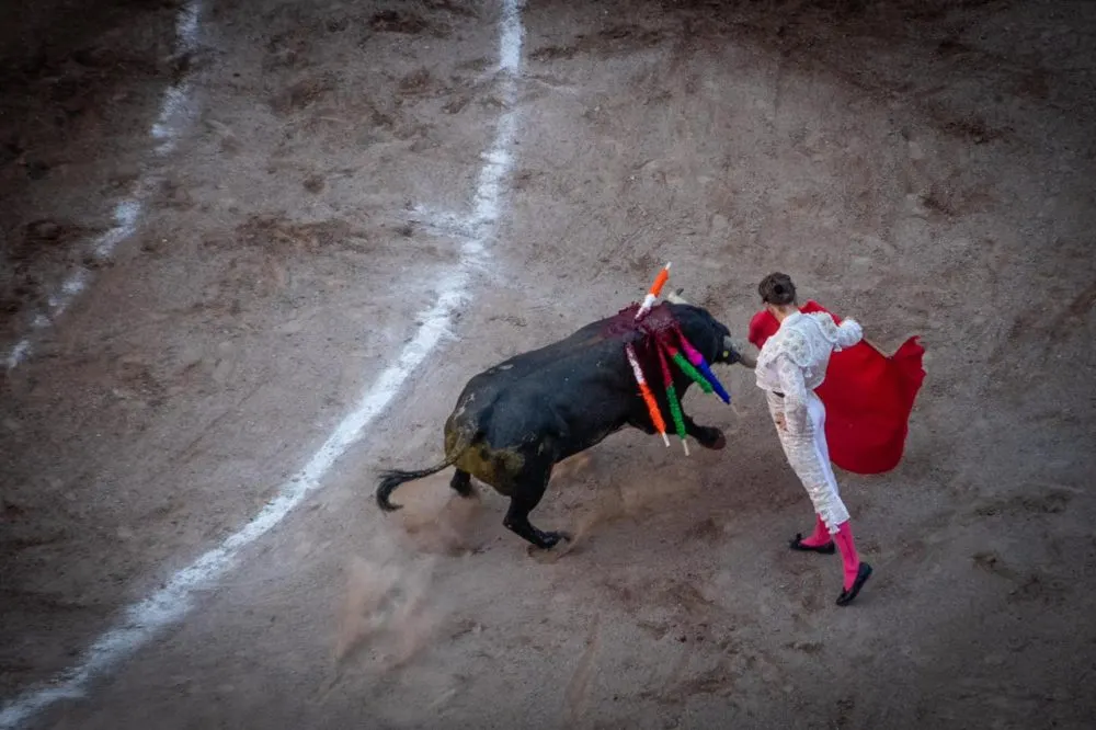El Payo