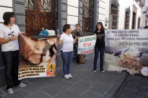 Maltrato animal ya es delito en Puebla