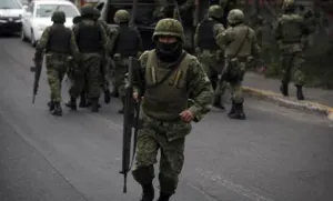 Sedena retira hasta el 70 por ciento de puntos detectores de drogas