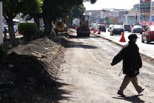 Rescatan árboles del trayecto de la línea 3 de RUTA y son reubicados en el Parque Ecológico
