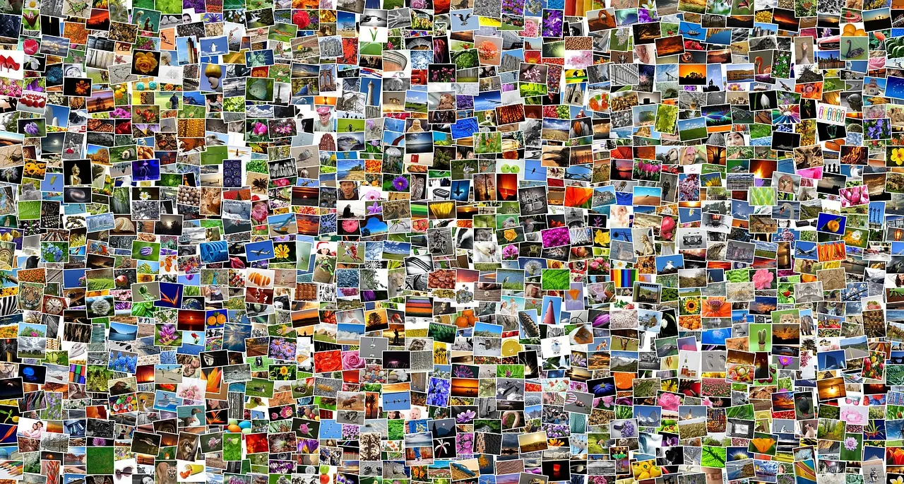collage