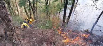 Puebla registra 400 incendios forestales durante este 2024