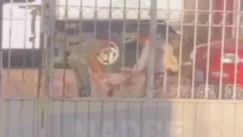 VIDEO: Niños sacuden y jalan a un perrito por simple diversión