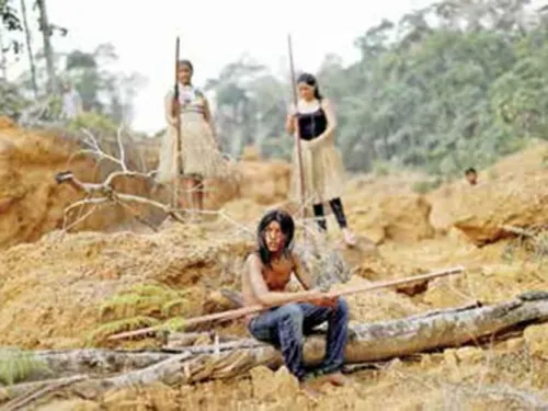 Deforestación creció 30%en la Amazonia; tala ilegal en Brasil