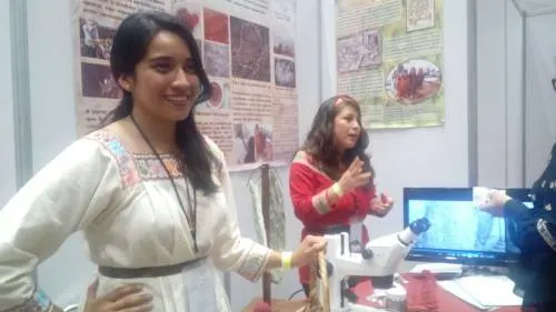 Estudiantes del Instituto de Zacapoaxtla realizan un proyecto sobre grana cochinilla