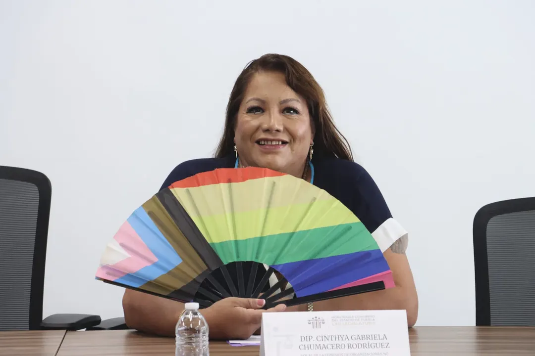 Diputada Cinthya Gabriela Chumacero Rodríguez