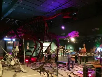 Haz turismo en Nuevo Laredo: historia y modernidad