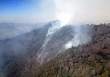 Protección Civil Estatal atiende incendio forestal en Cuyuaco