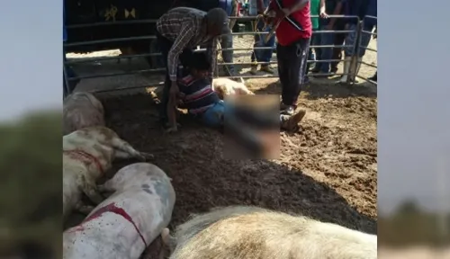 Comando armado balea a ganadero y mata a sus animales