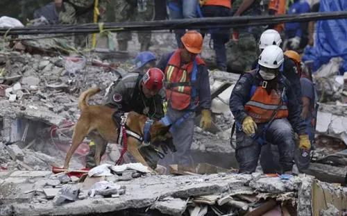Suman 39 réplicas del sismo del 19 de septiembre Sismológico