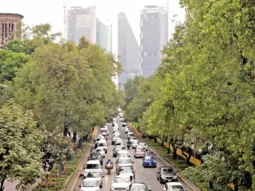 Autos contaminan también por ruido; cada año hay 250 mil vehículos más