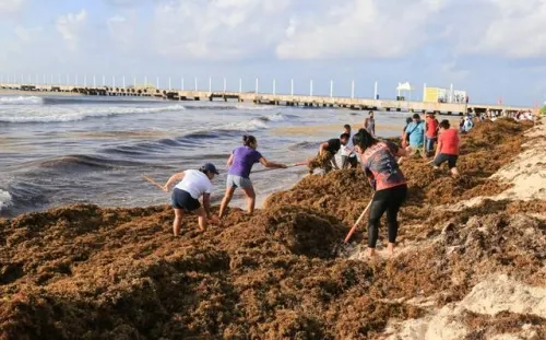 Quintana Roo emite declaratoria de emergencia por sargazo