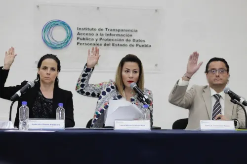ITAIPUE sesiona por decimotercera vez de manera virtual