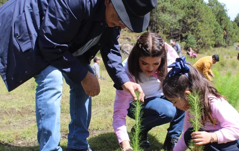 Reforestación en Zacatlán