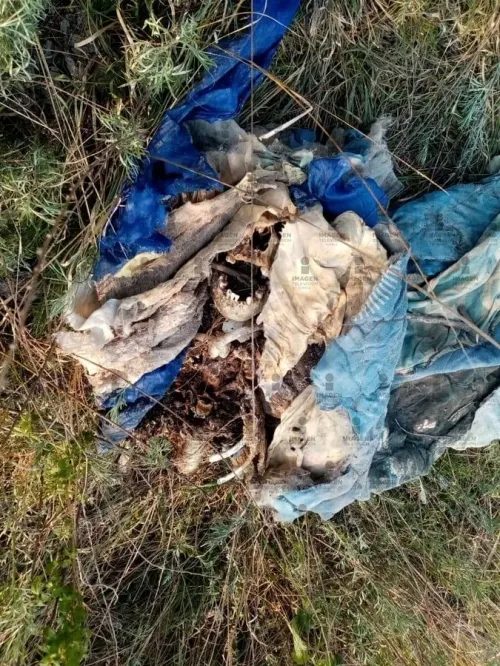 Hallan restos humanos en un paraje de San Andrés Azumiatla