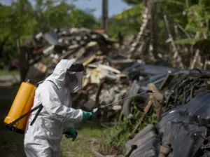 Personal, decisión de ir a Río 2016 a pesar de zika: OMS Síguenos en: