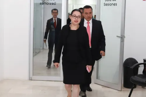 IEE va por más presupuesto en 2020, nueva presidenta buscará recuperar la credibilidad