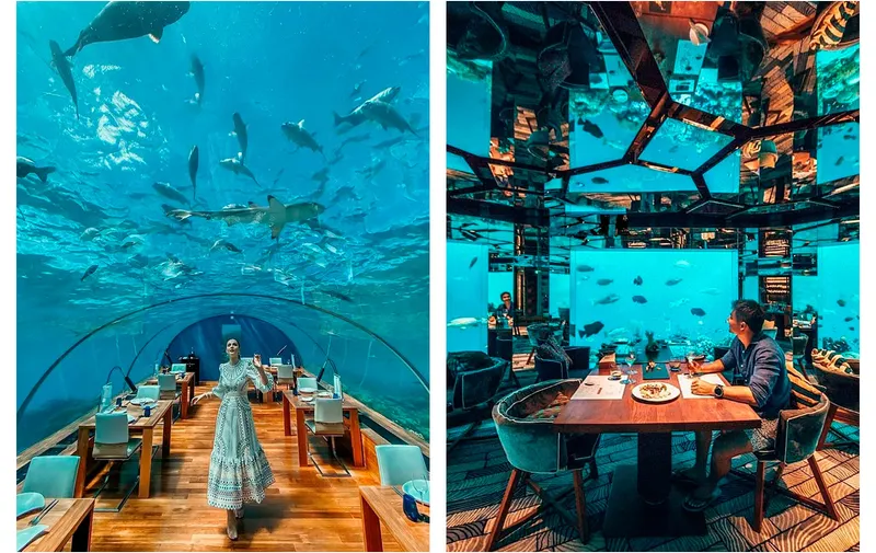 ithaa-undersea-restaurant