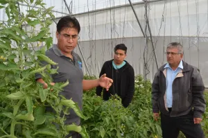 Vermibuap, producto de alto impacto en el campo mexicano