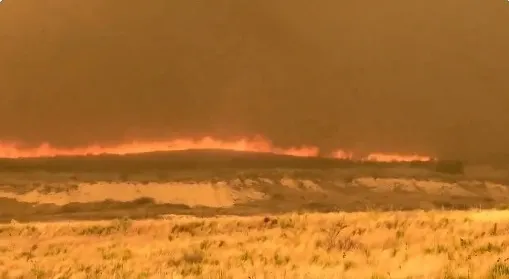 Foto: Captura de pantalla