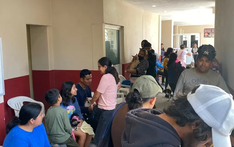 Se realiza con éxito la Primera Jornada de Esterilización Gratuita en Texmelucan 