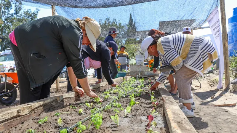 Con 100 mil pesos arrancan proyecto comunitario en Nopalucan: SEDIF