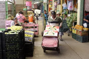 Manda RMV propuesta al Congreso para enajenar zona de la Central de Abasto