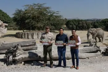 Ayuntamiento de Puebla y Africam Safari invitan a participar en la campaña ” Verde Navidad 2024″