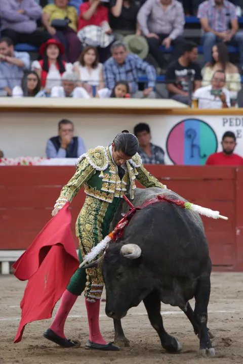 Gobernador de Puebla propone consulta para decidir si se prohíbe o no las corridas de toros