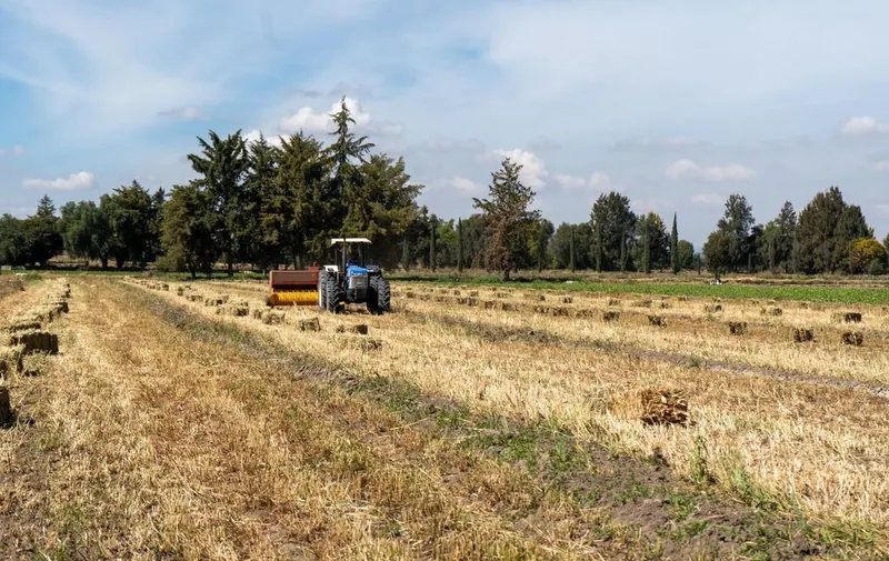 gob-pue-transformacion-campo