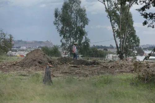 Empresa de Amalucan cumplió con la norma Municipal para derribar 100 árboles