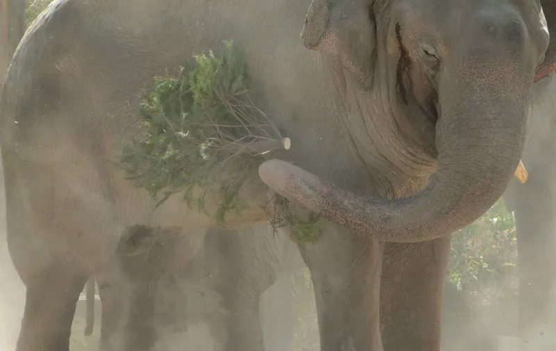 Parque Africam Safari