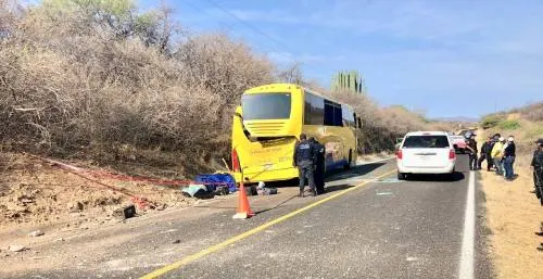 Mueren nueve pasajeros de autobús de la línea Oro en Acatlán de Osorio