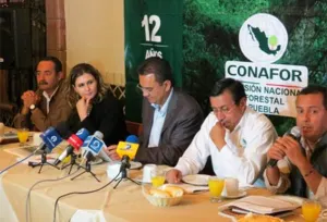 Durante 2013 se presentaron 511 incendios en Puebla: Conafor
