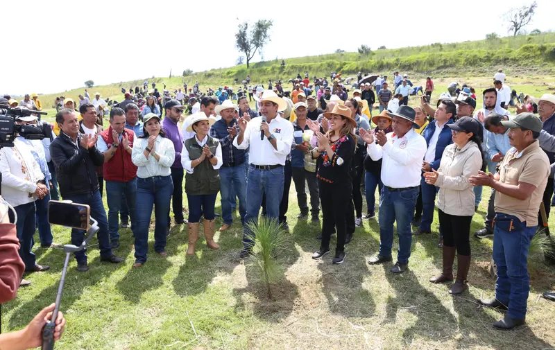 Cumple gobierno estatal meta del plan reforestación