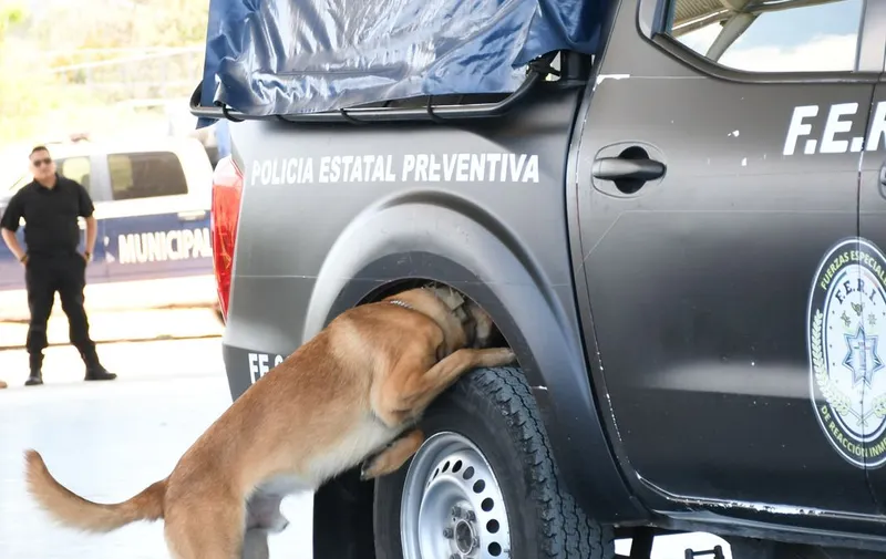 Foto: Especial
