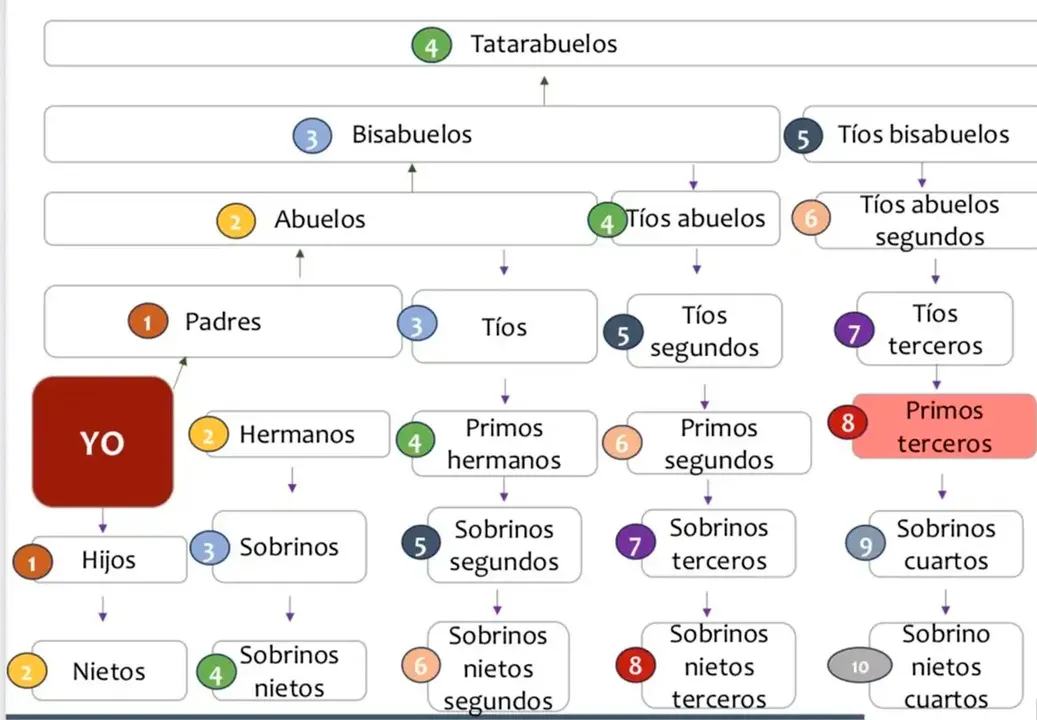 Grados De Parentesco