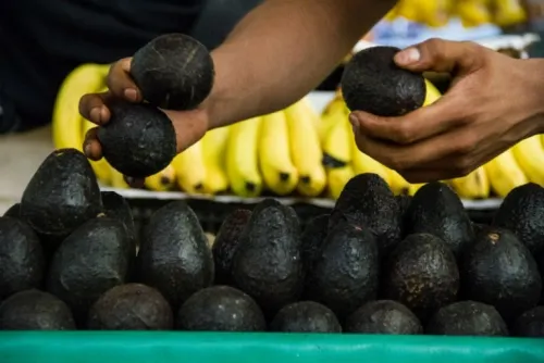 Kilo de aguacate llega a 130 pesos en mercados del país