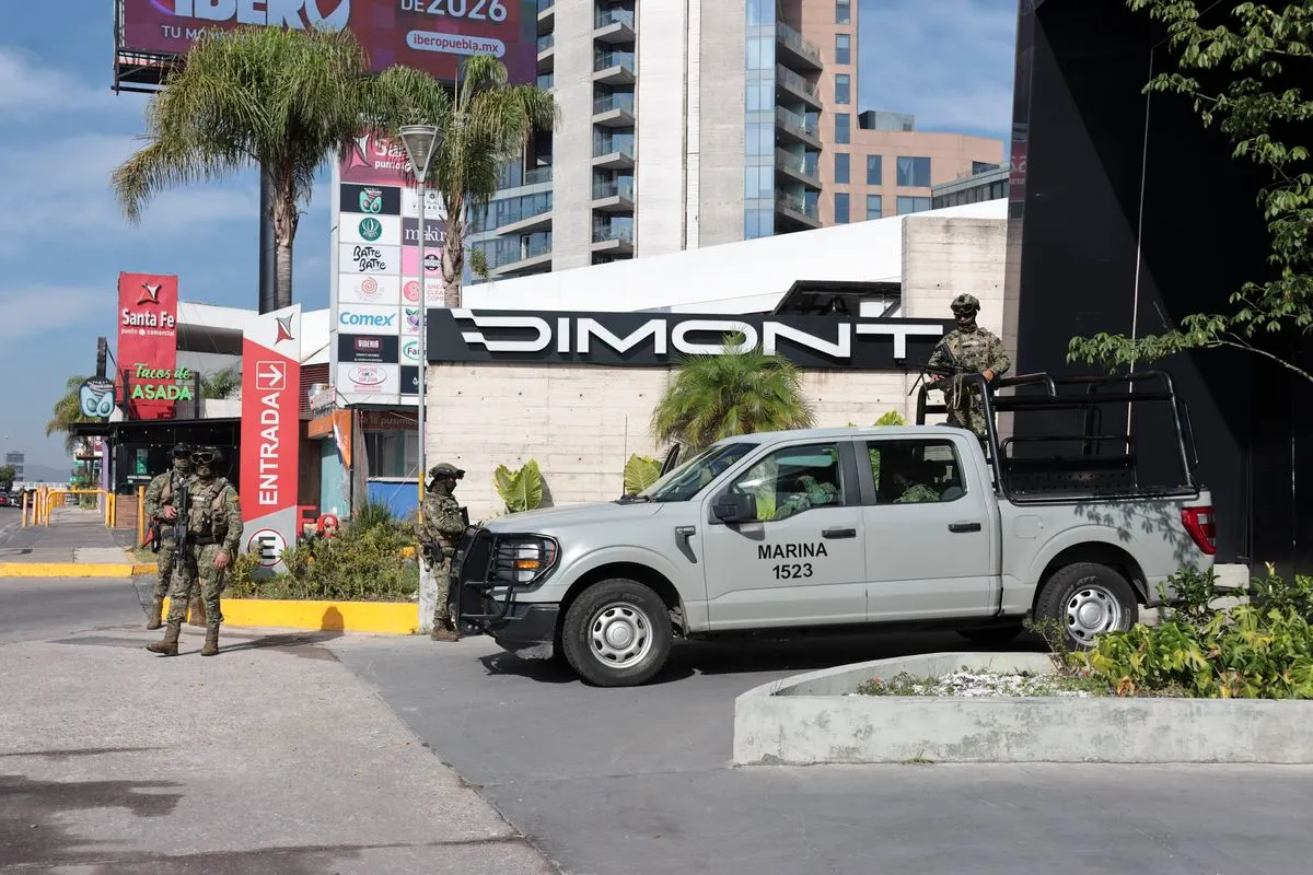 cateo-agencia-autos-lujo-dimont