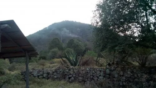 Se atienden 12 incendios forestales activos en la entidad: Protección Civil