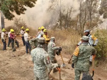Del 13 al 20 de abril, el Gobierno de Puebla ha atendido 20 incendios forestales
